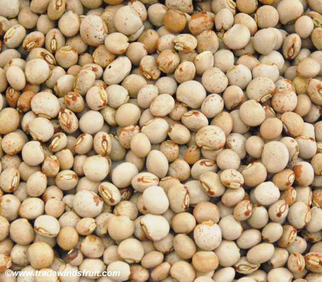 pigeon_pea__17858.1522257993.1280.1280.jpeg