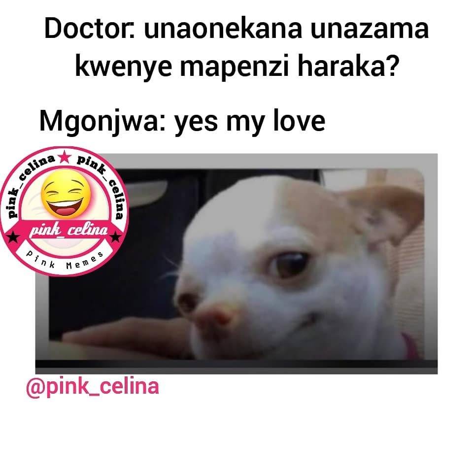 pink_celina~p~CYzFTeaKrLi~1.jpg