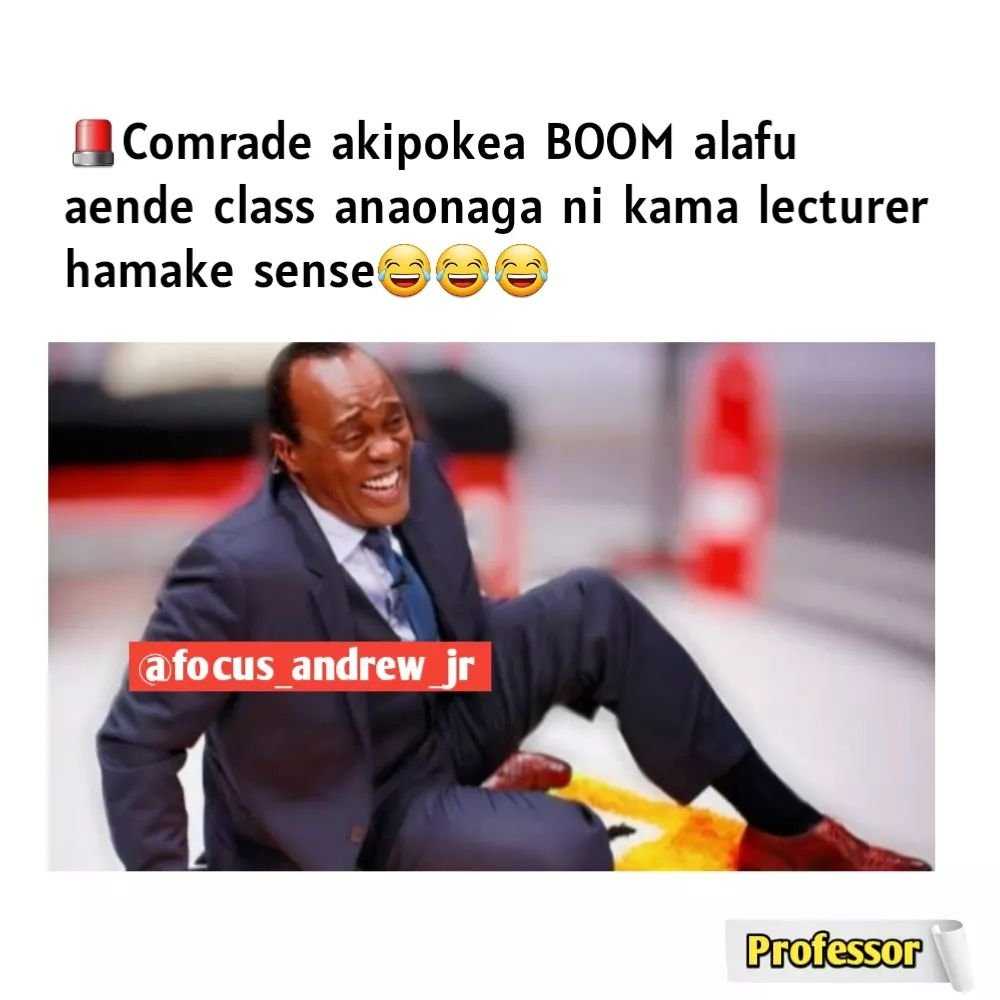professor_focus~p~CdnJ1R5Np_h~1.jpg