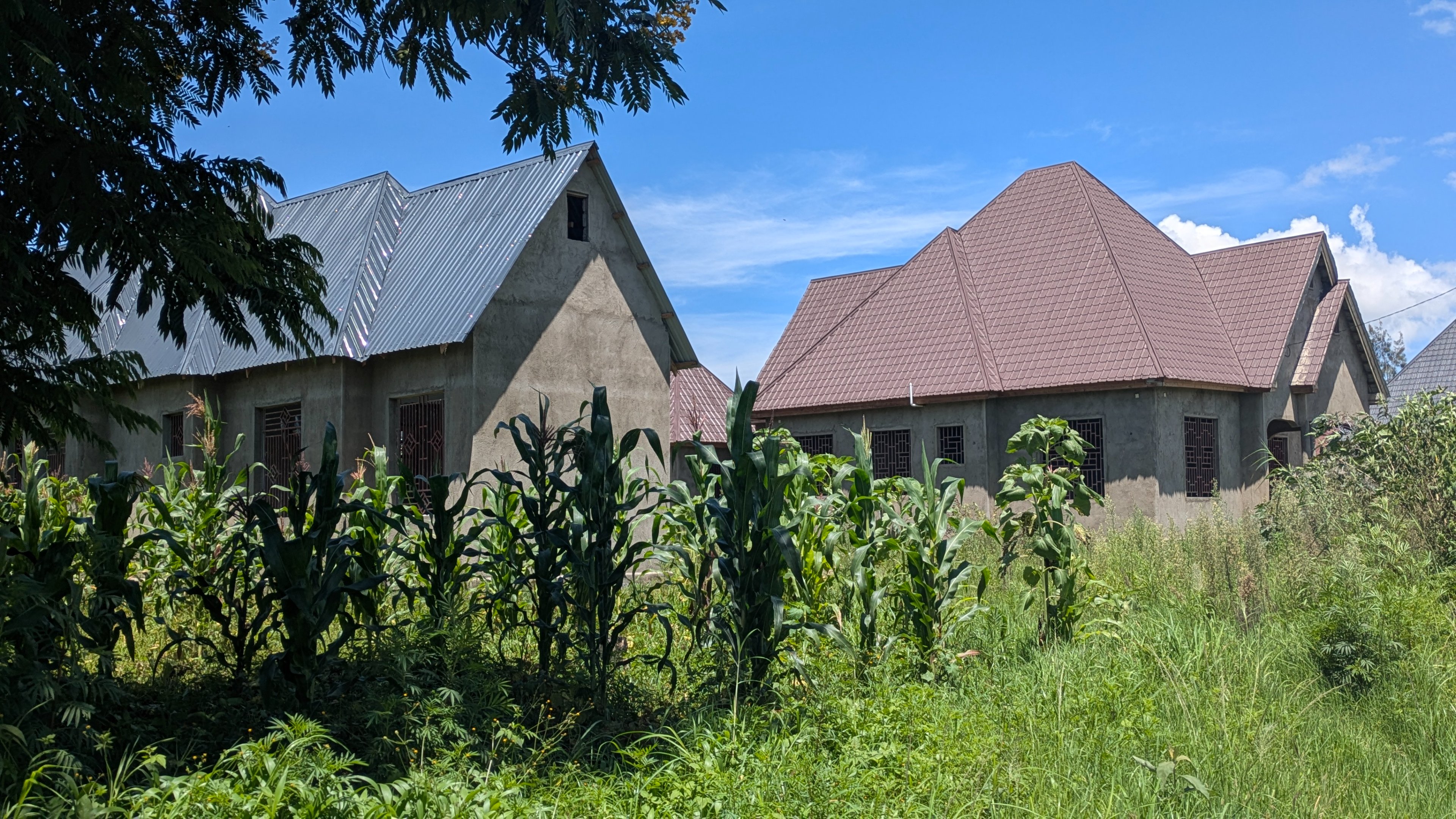 PXL_20260303_085053619.jpg