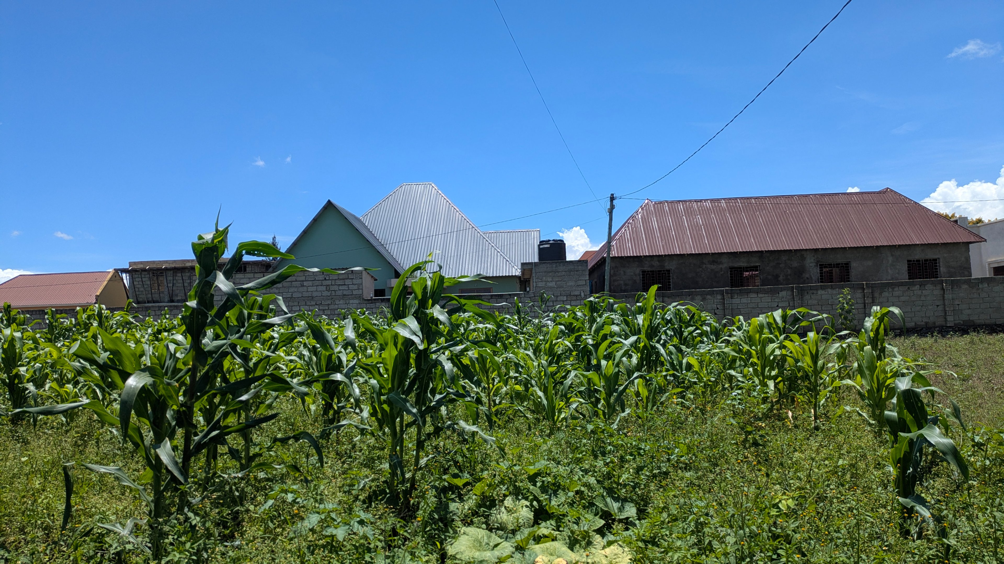 PXL_20260303_091923629.jpg