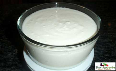 raw_milk_yogurt_hires.jpg