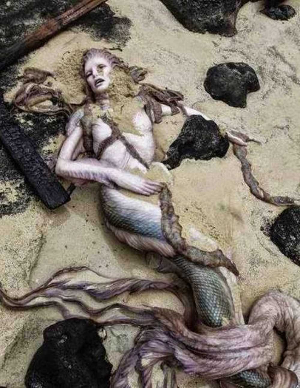 Real-Mermaids-4.jpg