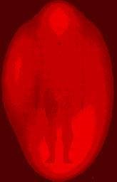 red-aura.jpg