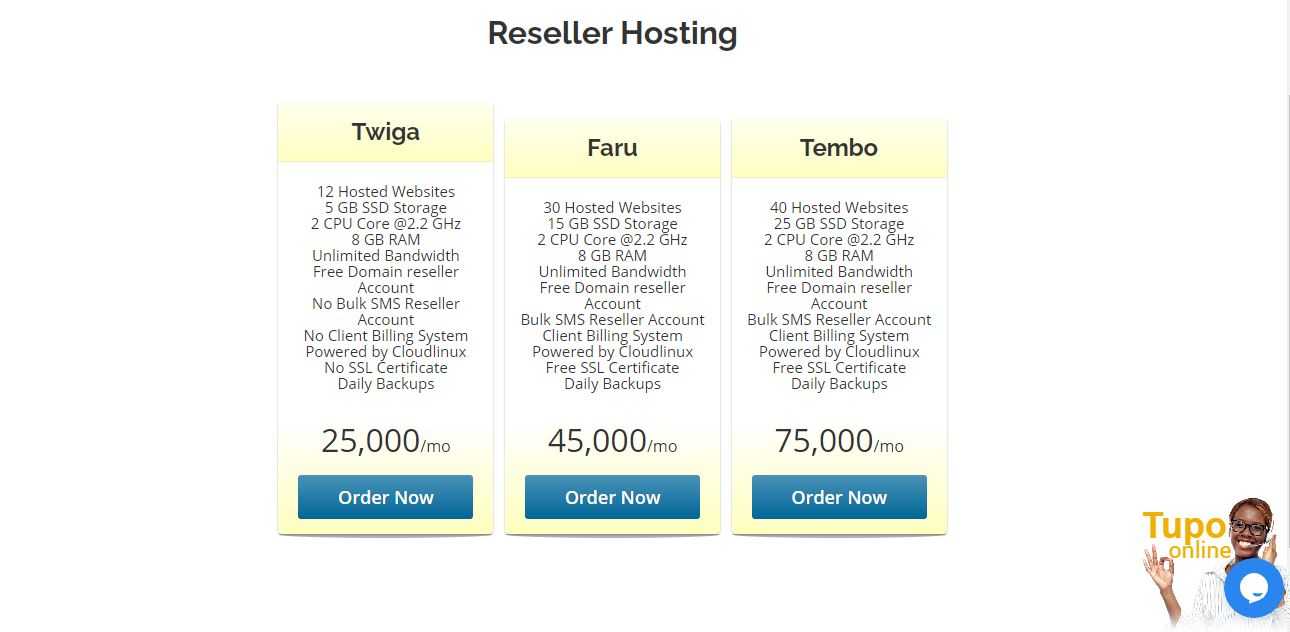 RESELLER HOSTING PLAN.JPG