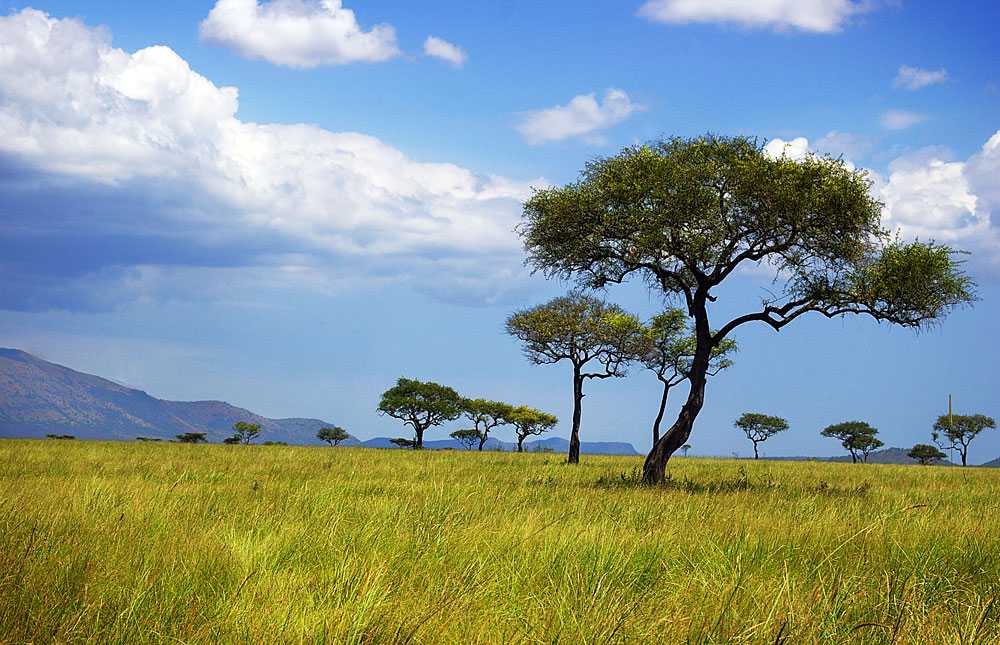 Ruma_National_Park_012.jpg