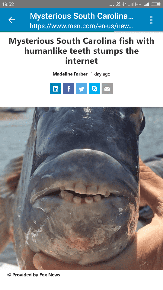 Screenshot_2018-05-11-19-52-28-917_com.linkedin.android.png
