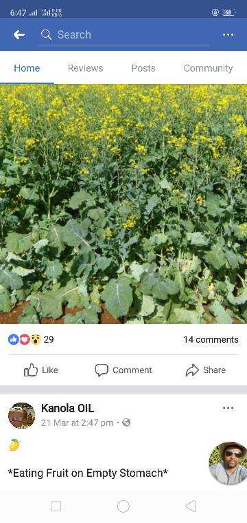 Screenshot_2018-11-12-18-47-14-61.jpeg