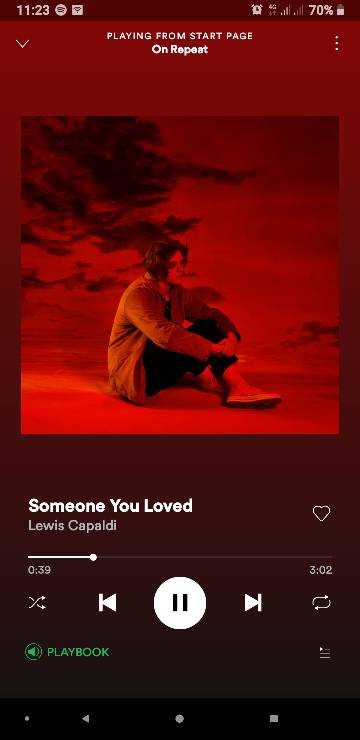 Screenshot_20200729-112308_Spotify.jpg