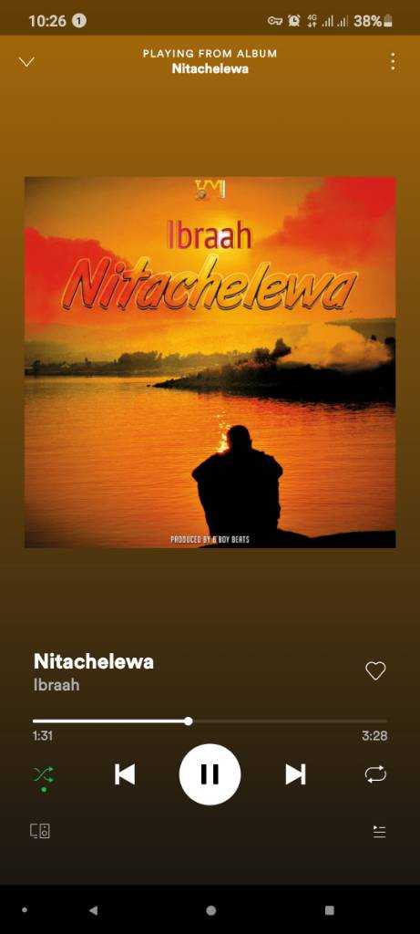 Screenshot_20201121-102620_Spotify.jpg