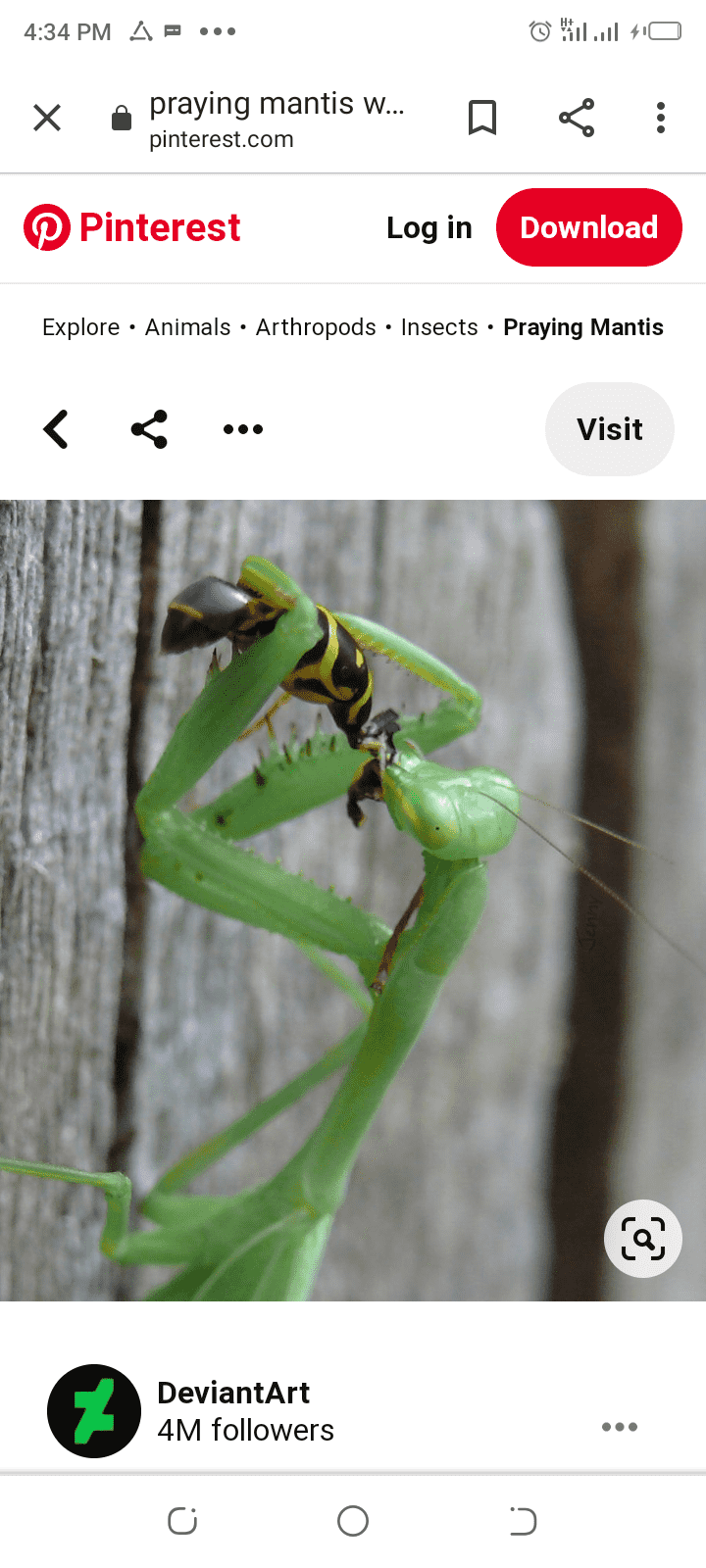 Screenshot_20201226-163458.png
