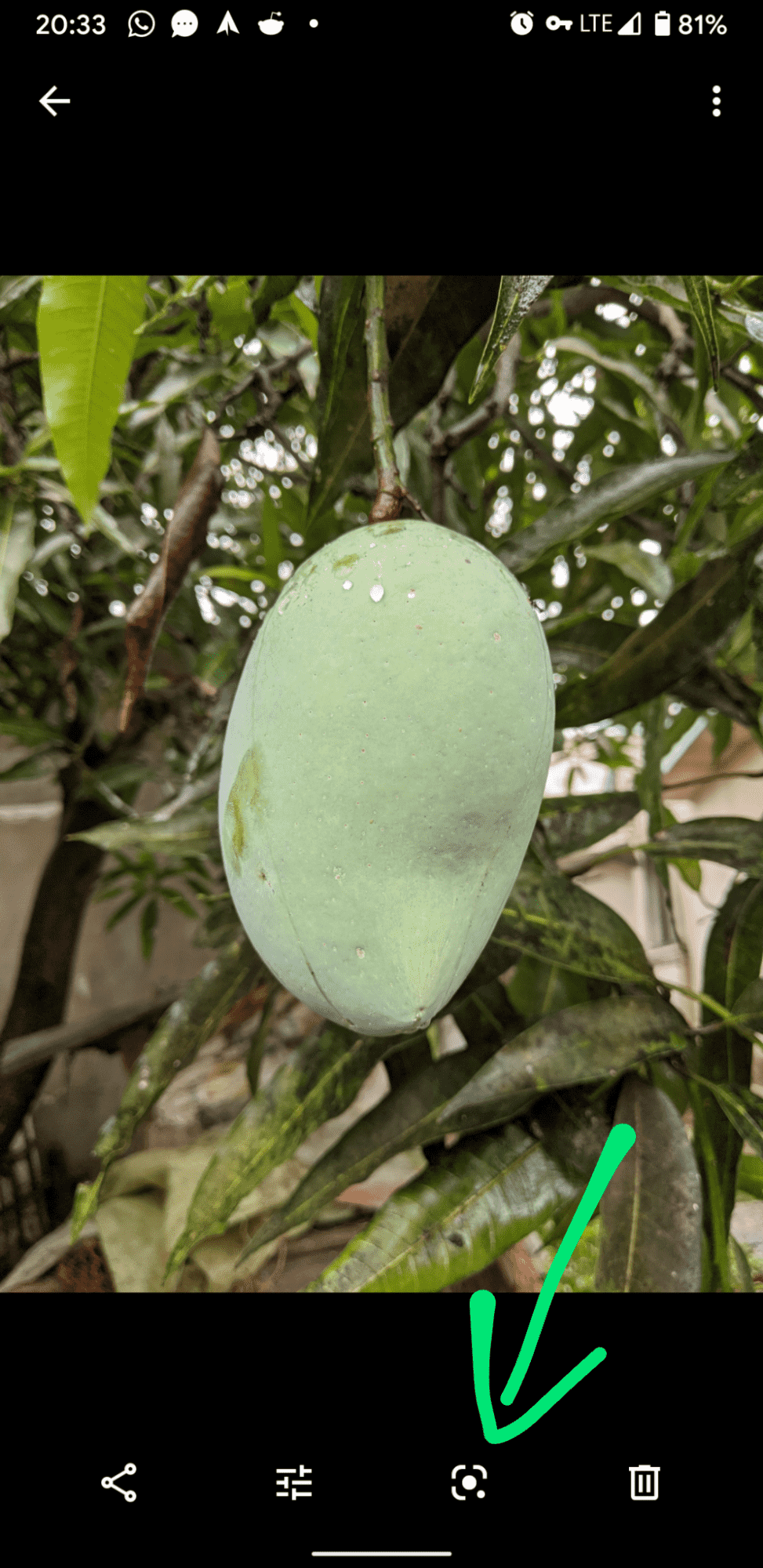 Screenshot_20210110-203334.png