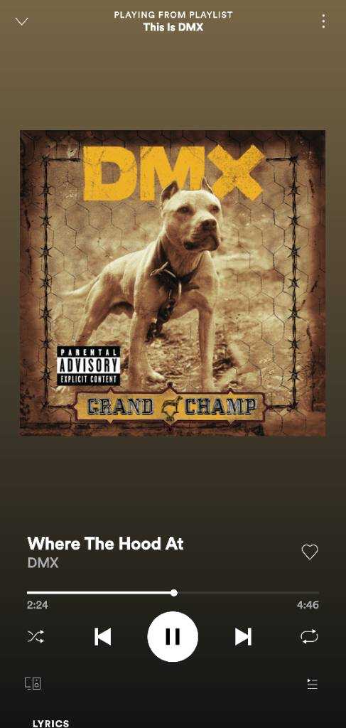 Screenshot_20210413-142810_Spotify.jpg