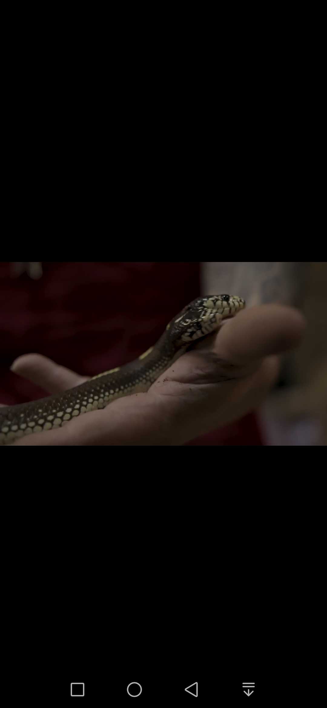 Screenshot_20210511_160724_com.huawei.himovie.overseas.jpg