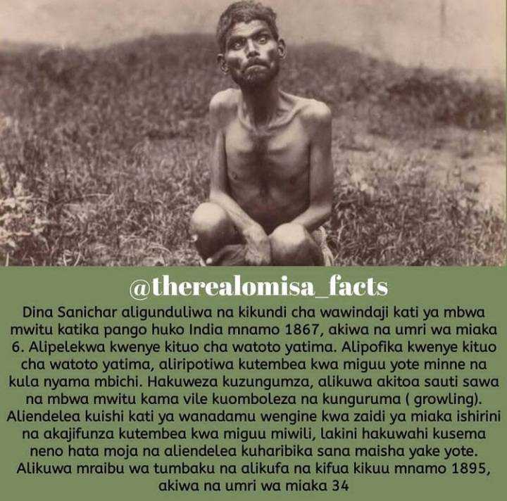 Screenshot_20210731-202945_Instagram%20Lite.jpg