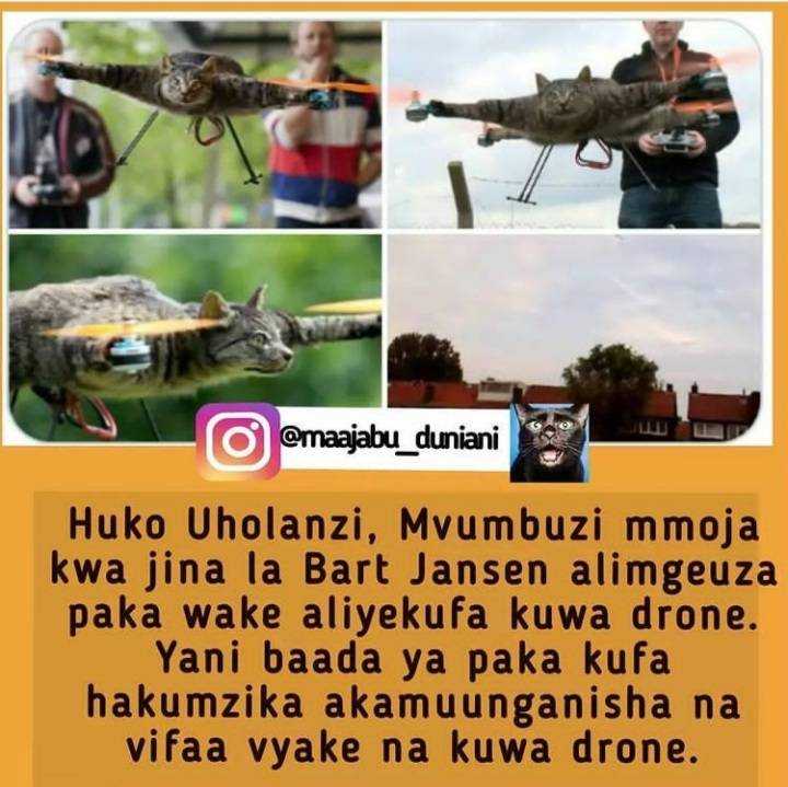 Screenshot_20210906-091356_Instagram%20Lite.jpg