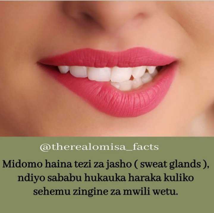Screenshot_20220303-042235_Instagram%20Lite.jpg