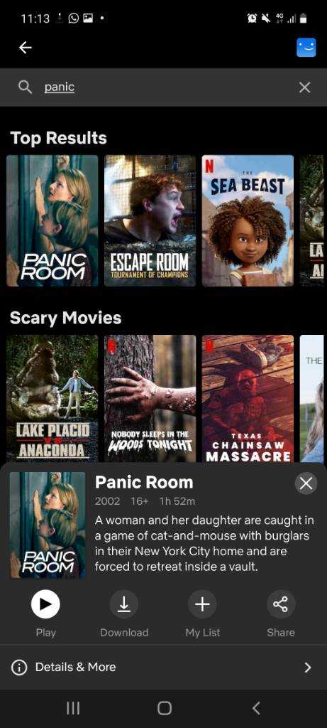 Screenshot_20220803-111312_Netflix.jpg