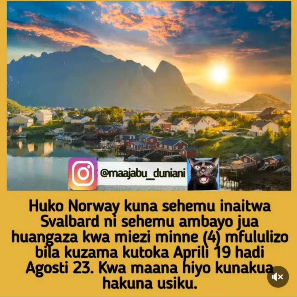 Screenshot_20220911-053252_Instagram%20Lite.jpg