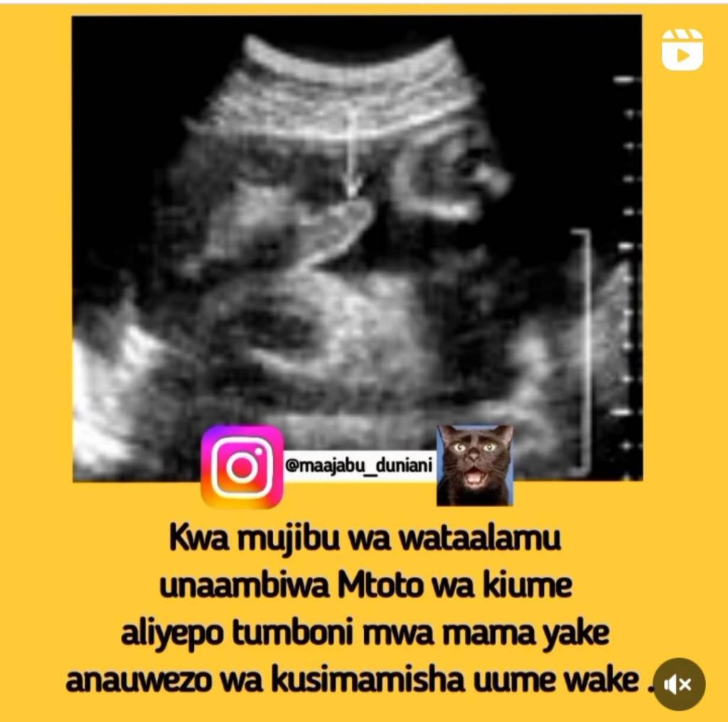Screenshot_20221112-121041_Instagram%20Lite.jpg