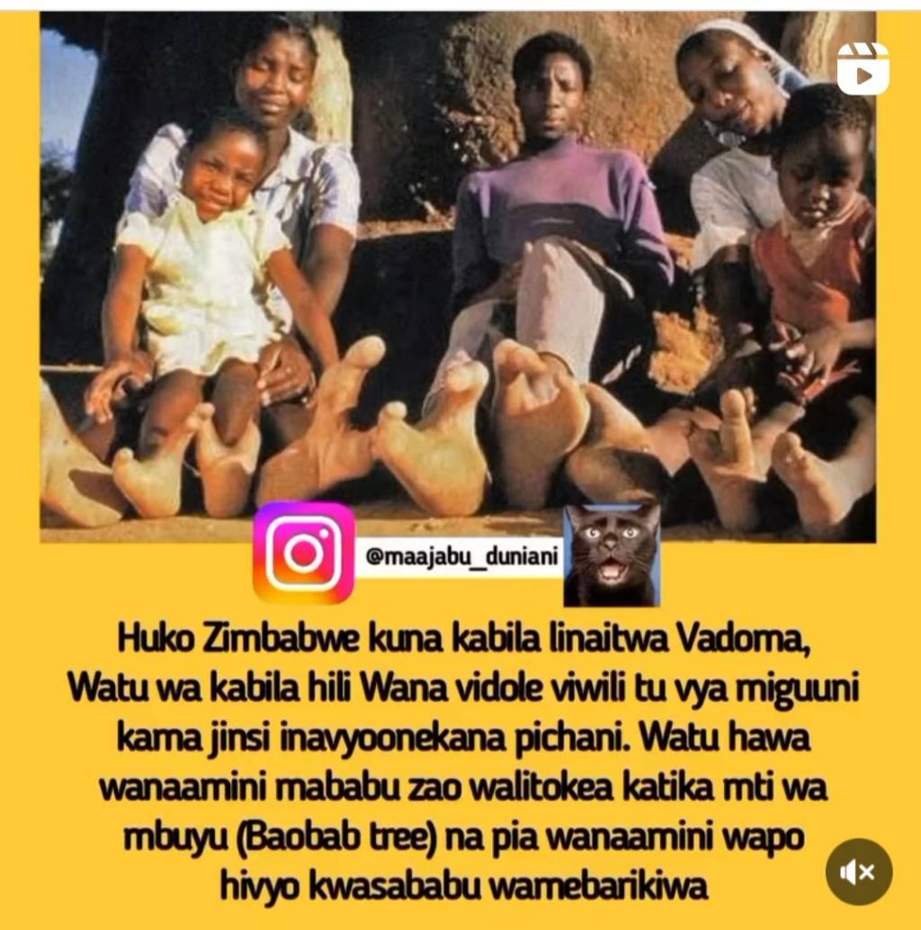 Screenshot_20221112-121417_Instagram%20Lite.jpg