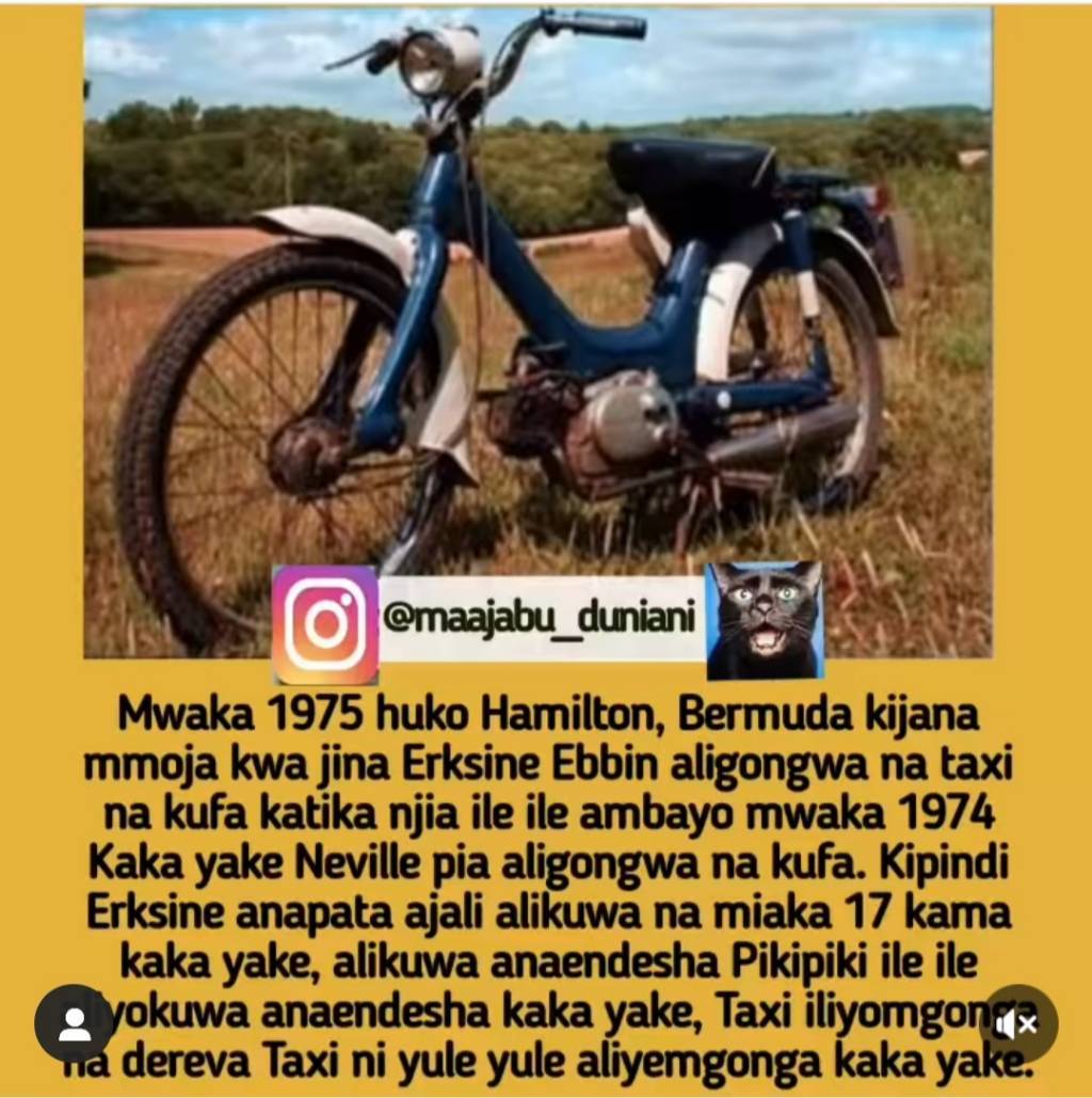 Screenshot_20221112-121722_Instagram%20Lite.jpg