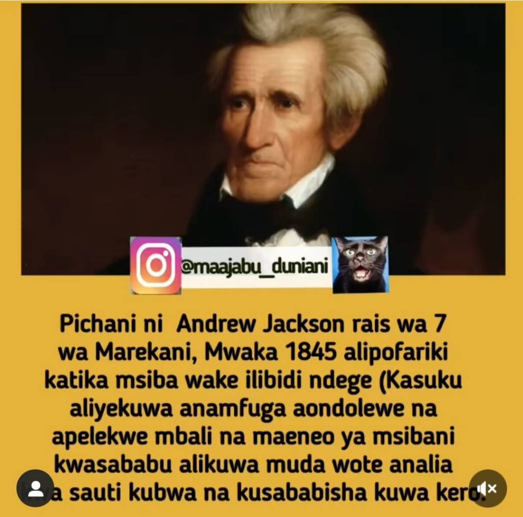 Screenshot_20221112-121802_Instagram%20Lite.jpg