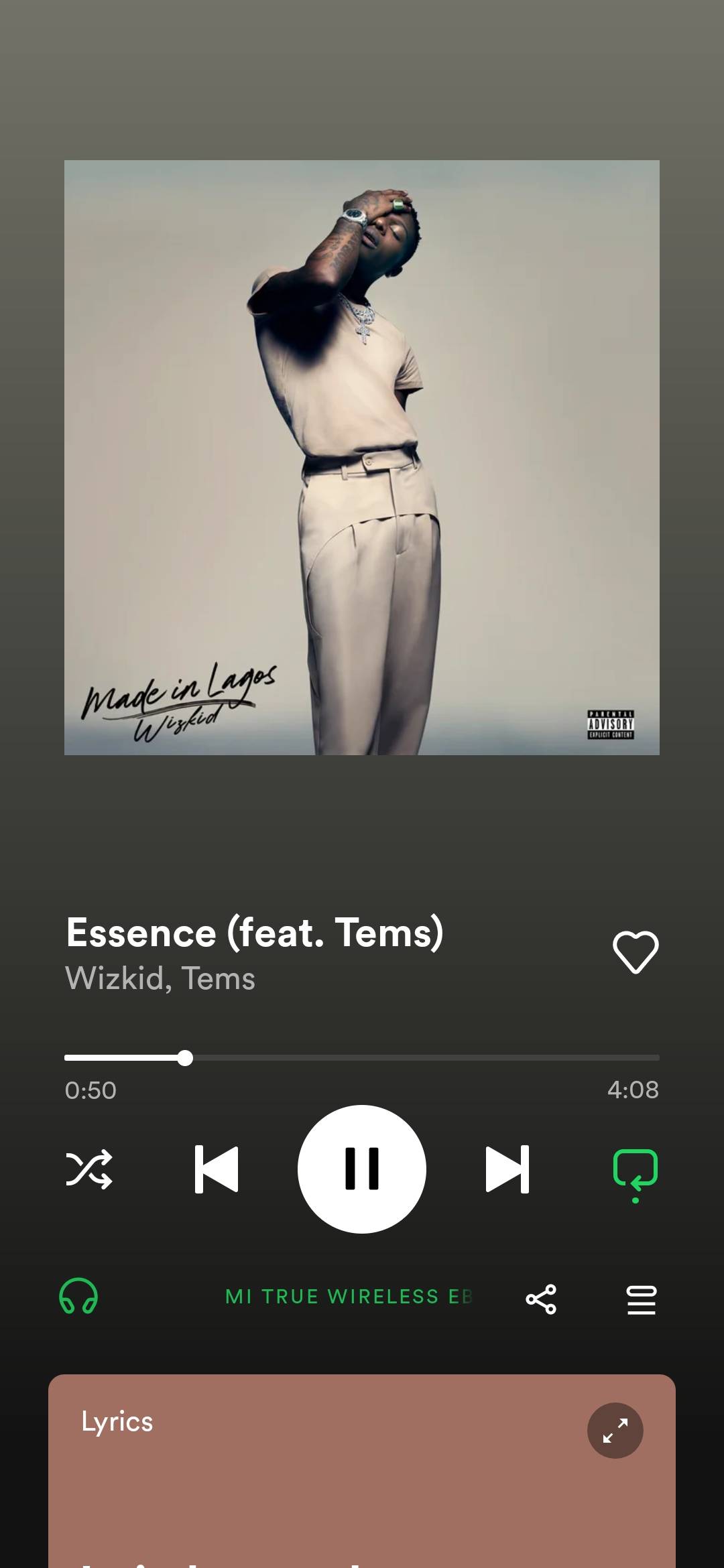 Screenshot_20221120_184017_com.spotify.music.jpg