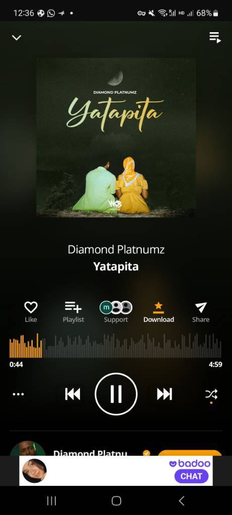 Screenshot_20230121_123659_Audiomack.jpg