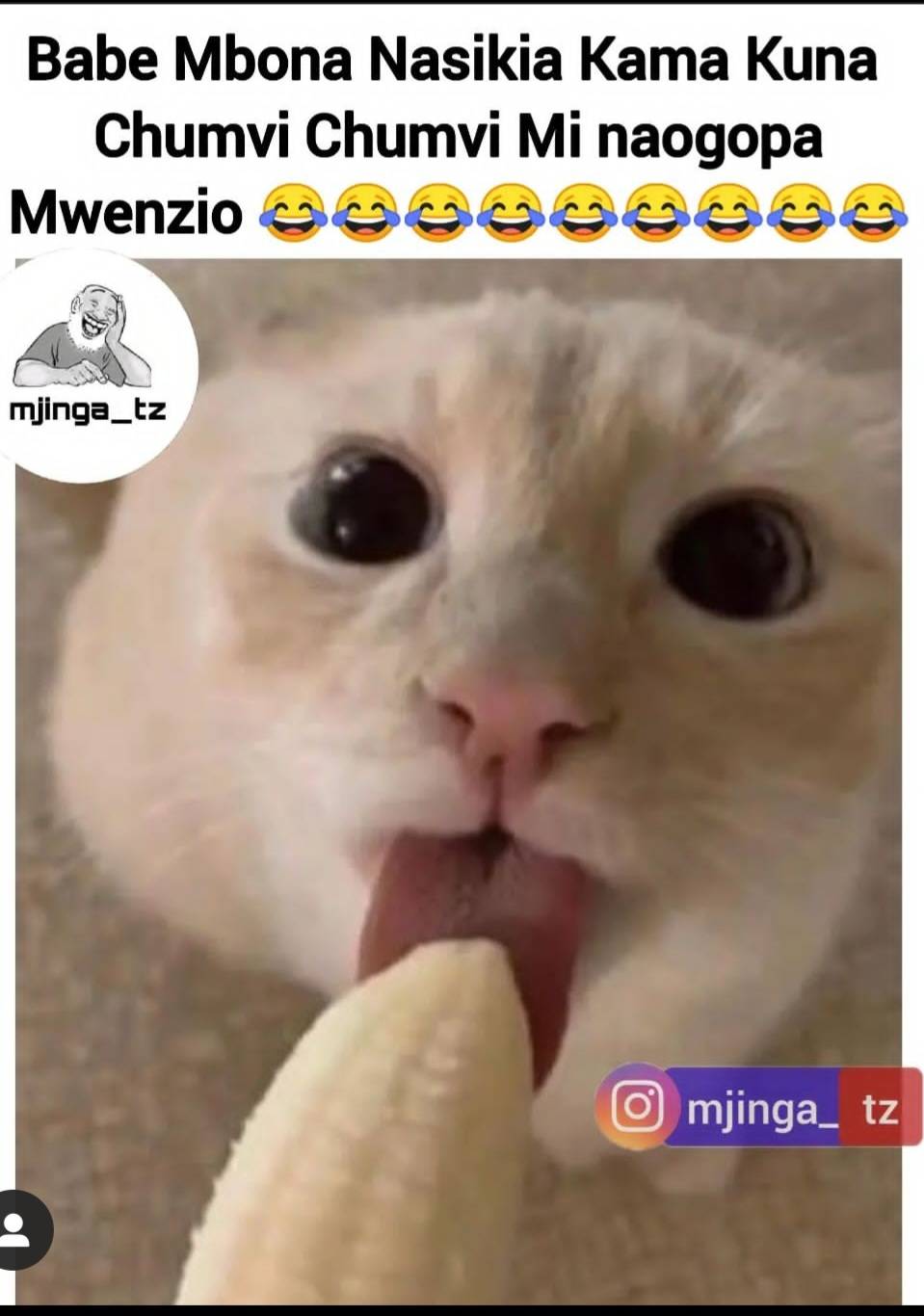 Screenshot_20230717_135921_Instagram Lite.jpg