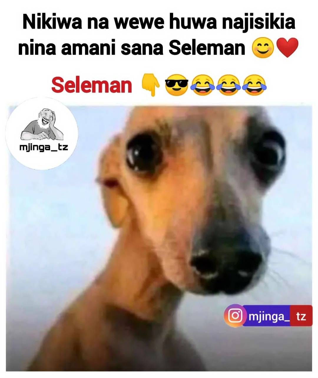 Screenshot_20231020_195321_Instagram Lite.jpg