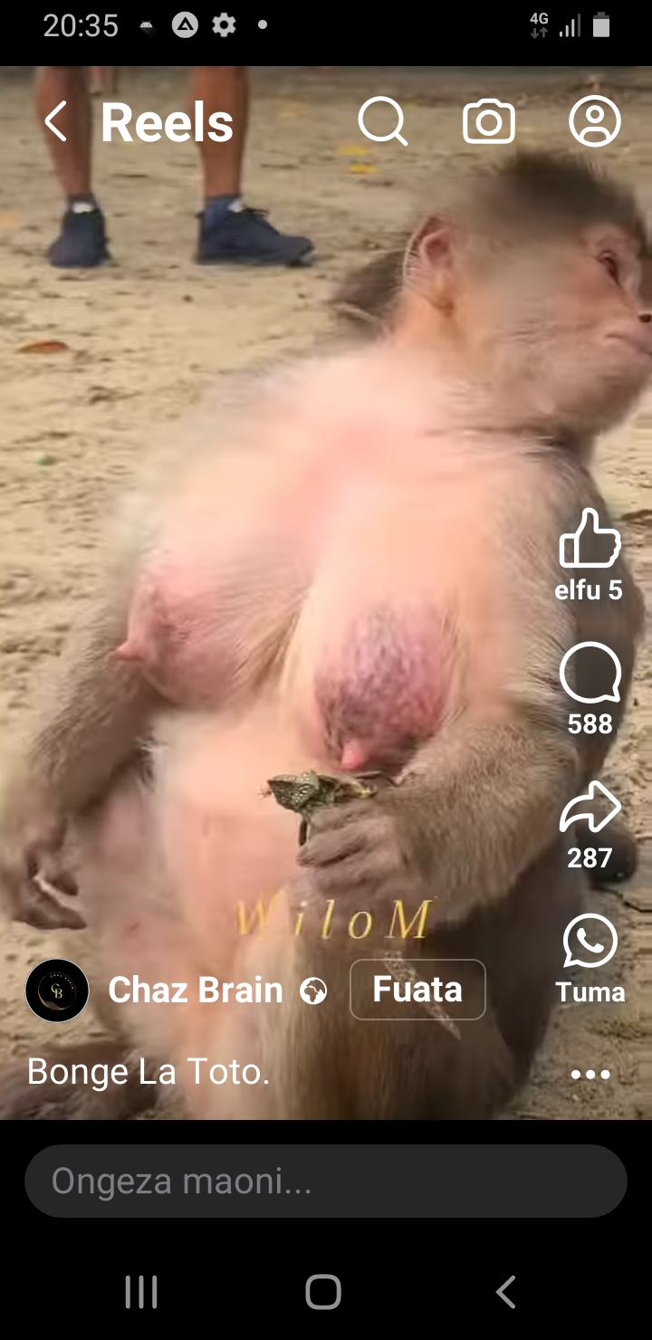 Screenshot_20240831-203546_Lite.jpg