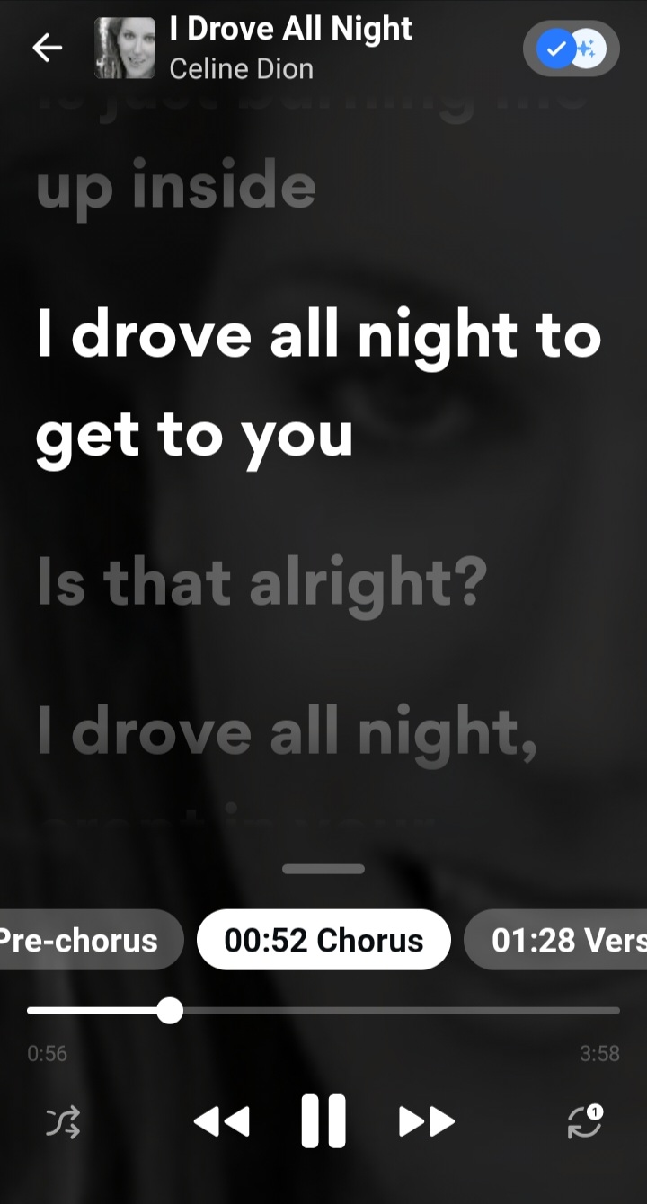 Screenshot_20250117-193615_Musixmatch.jpg