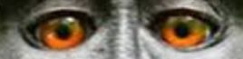 Screenshot_20250129-000611~2.jpg