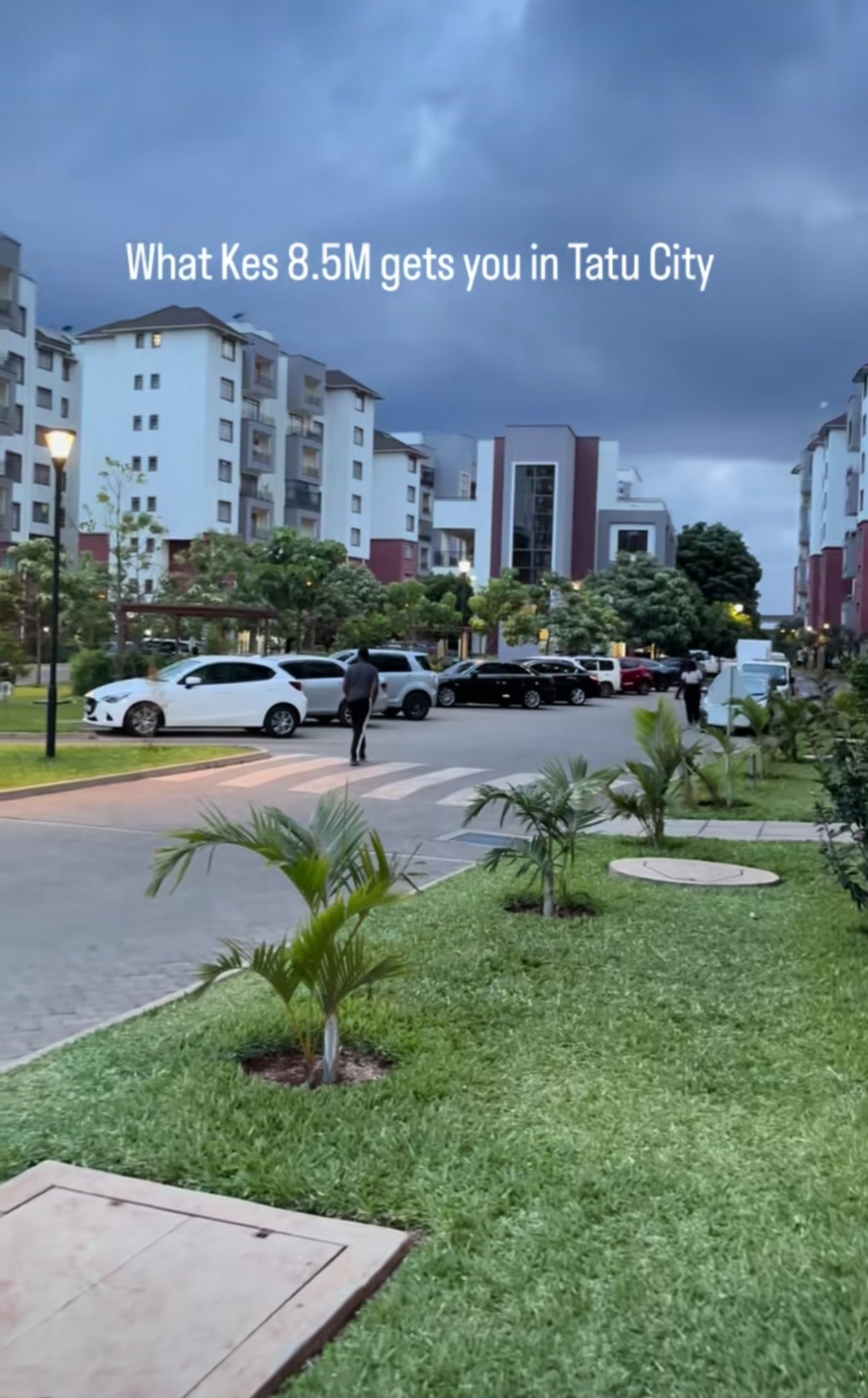 Screenshot_20251128_172659_TikTok.jpg