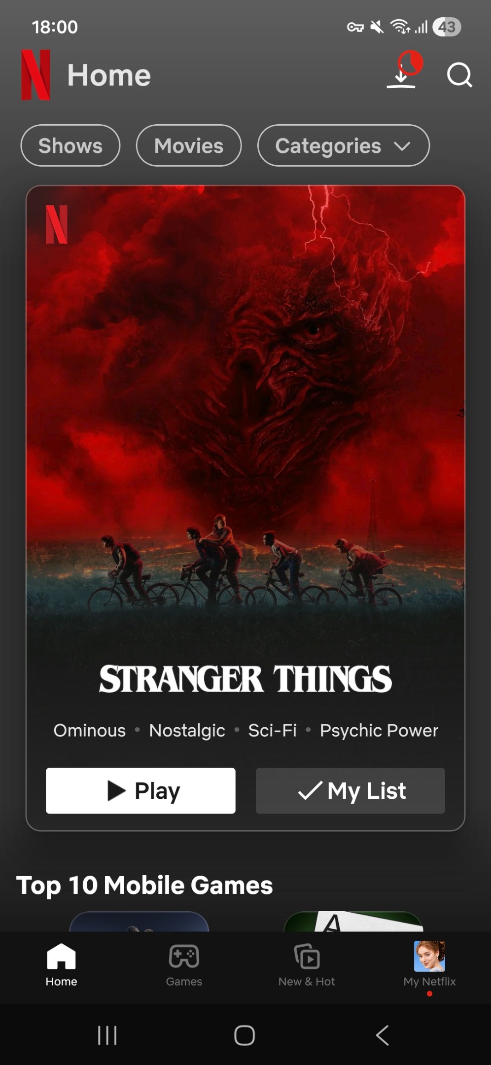 Screenshot_20251207_180044_Netflix.jpg