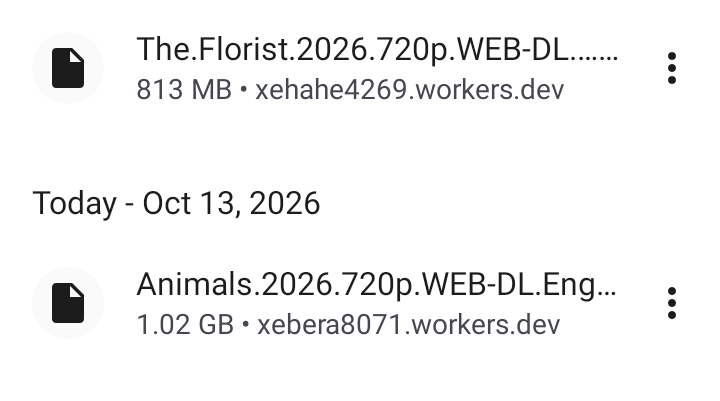 Screenshot_20261013-132409.png