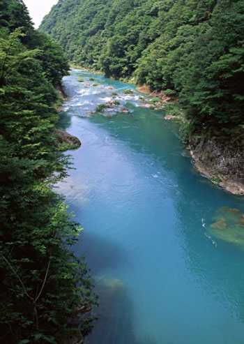 shimba-hills2.jpg