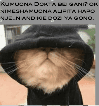 shume 77.png