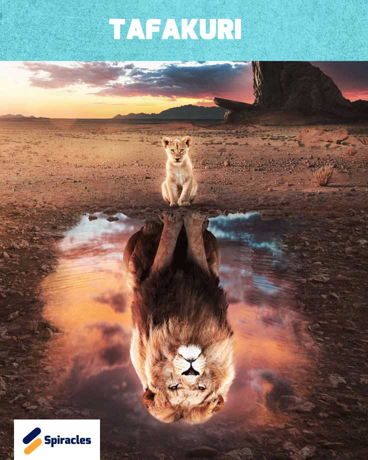 Simba.jpg
