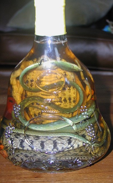 snake wine! - treats bi zheng, itching and paralysis.jpeg