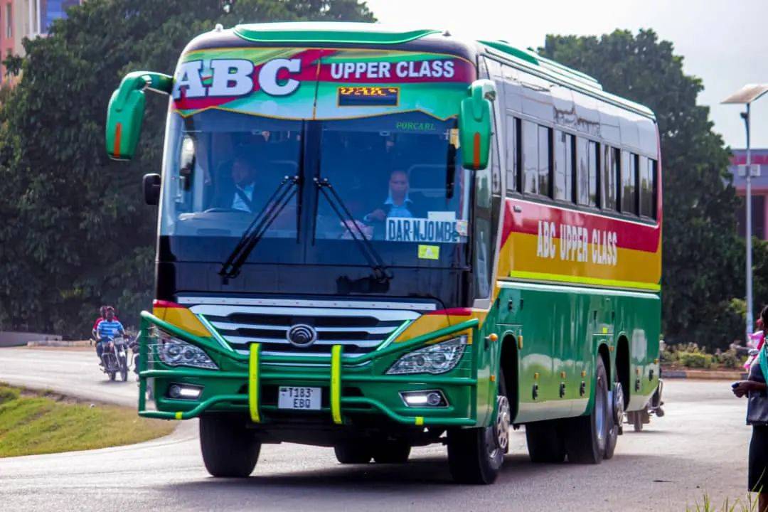 southernhighlands_buses_fans_1677764544181713.jpg