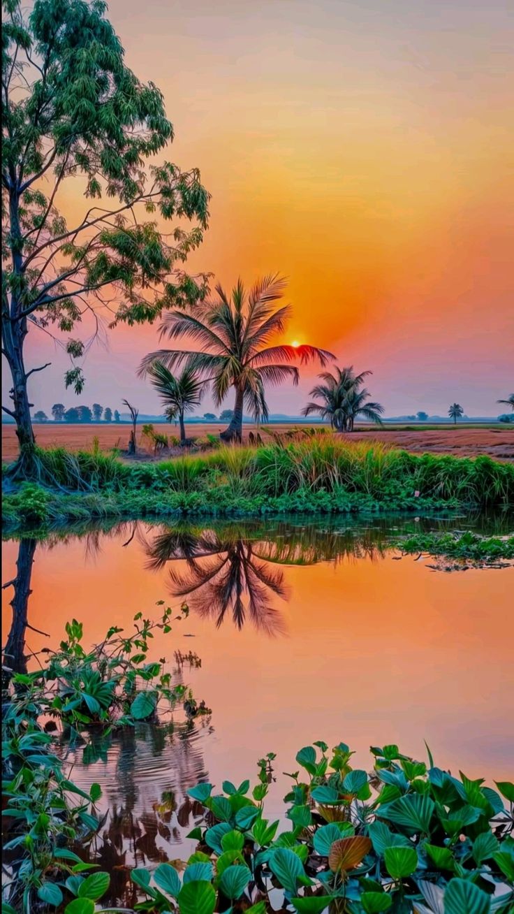 sunset.jpeg