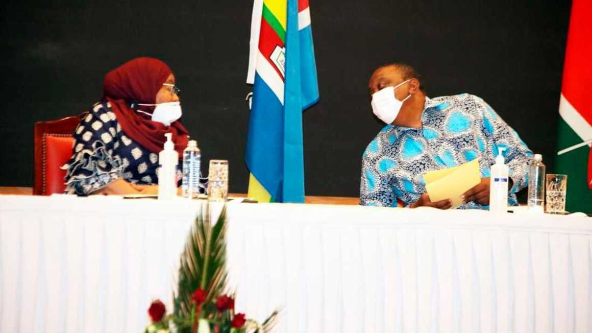 tanzanian-president-samia-suluhu.jpg