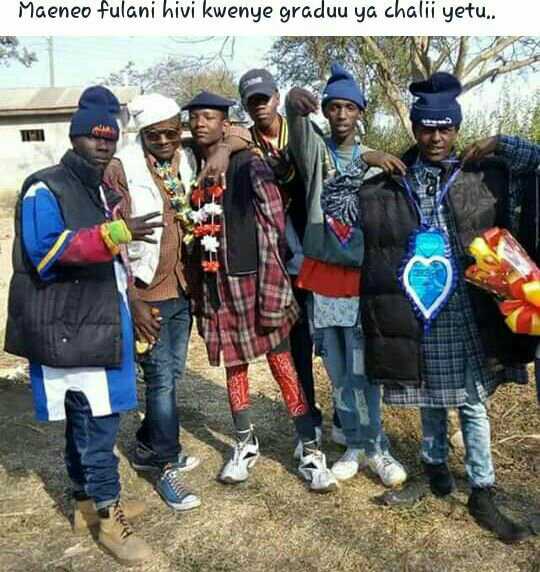 tapatalk_1476174569648.jpeg