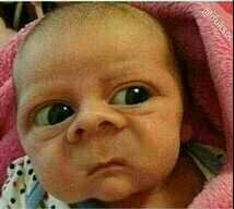 tapatalk_1501353203041.jpeg