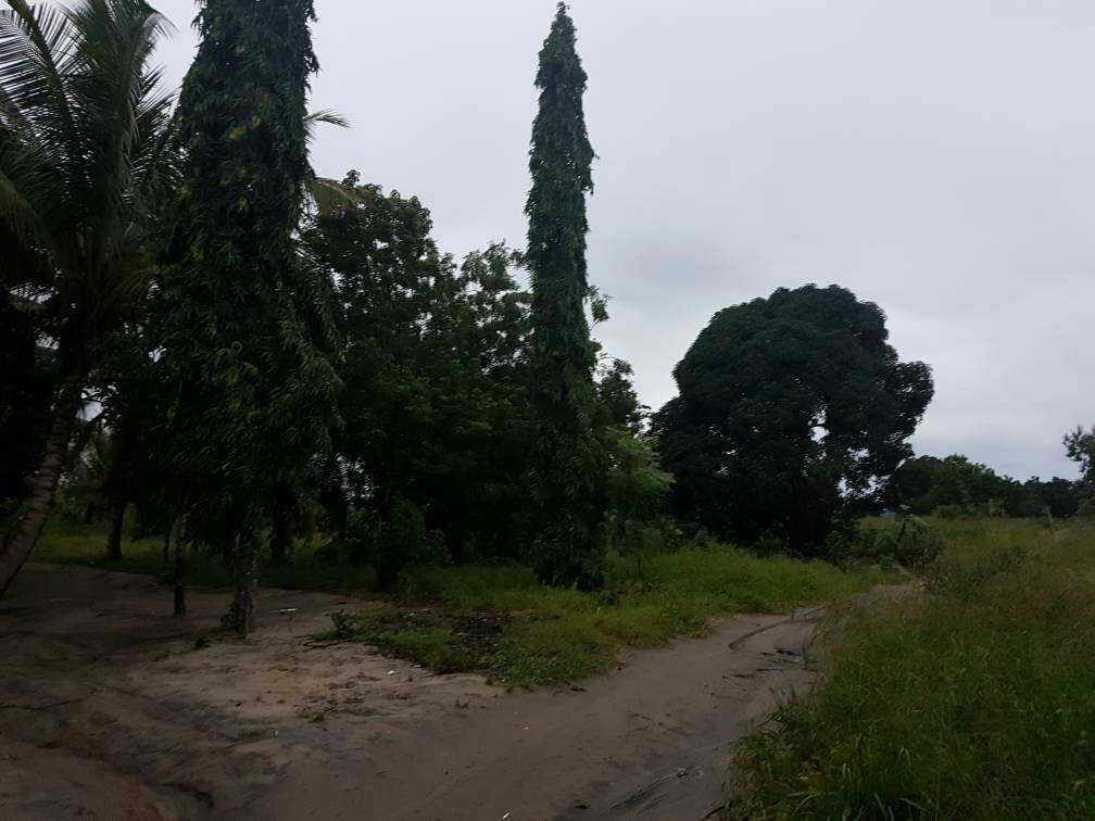 tapatalk_1501916310563.jpeg