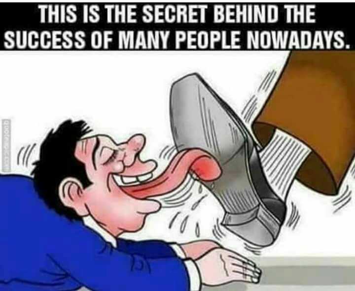 tapatalk_1533015939421.jpeg