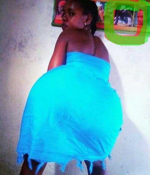 tapatalk_1533524582443.jpeg