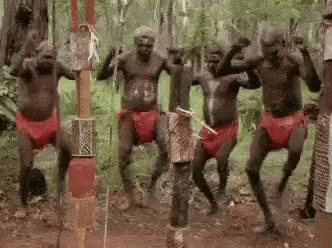 tapatalk_1544879002398.gif